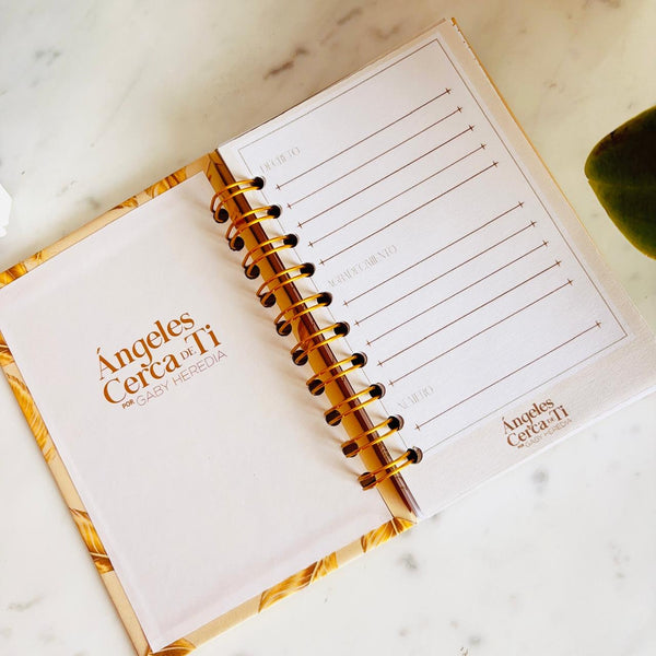 Cuaderno de la Riqueza (tamaño CHICO)