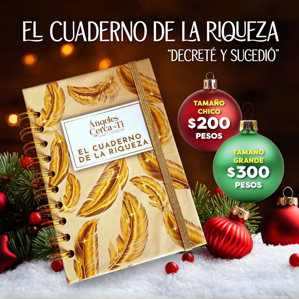 Cuaderno de la Riqueza (tamaño CHICO)