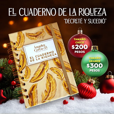 Cuaderno de la Riqueza (Tamaño GRANDE)